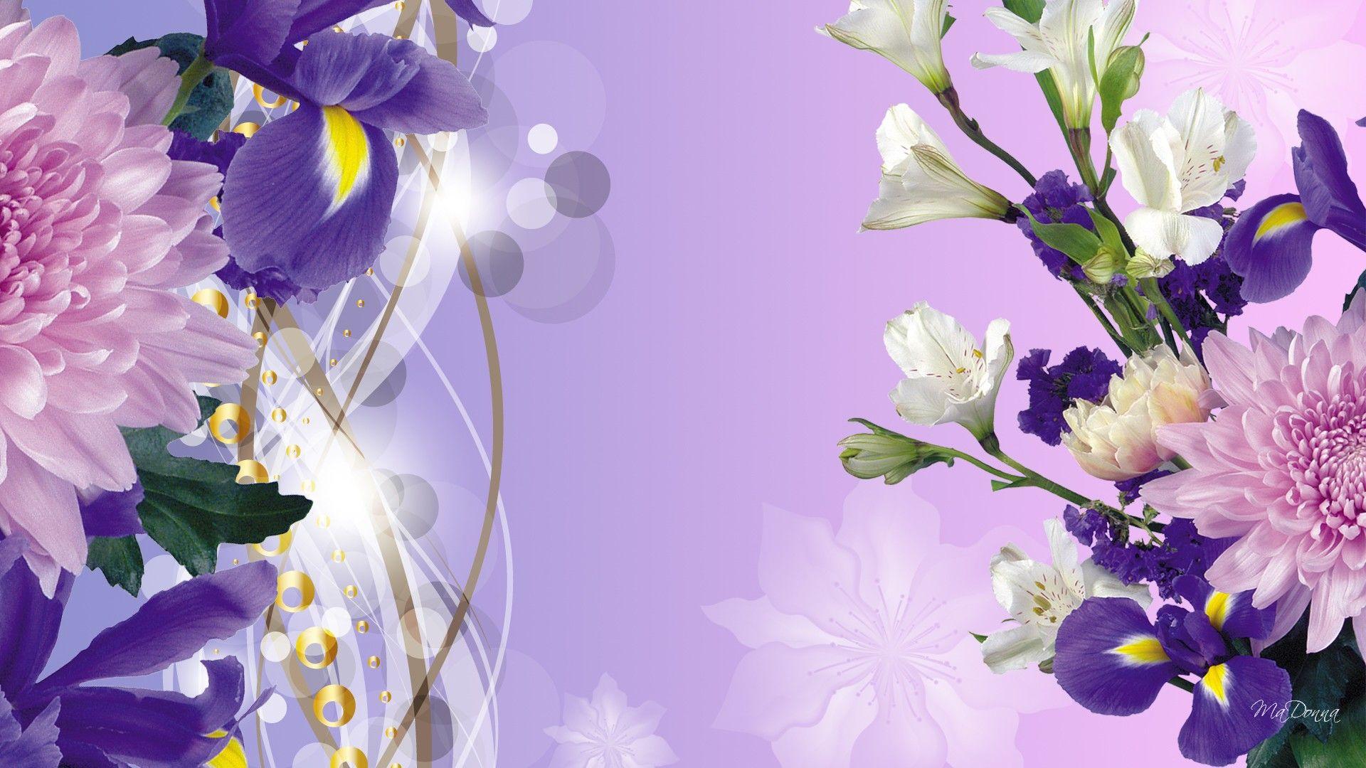 1920x1080 Wallpaper Purple Gold Red HD Iris Spring 1920x1080