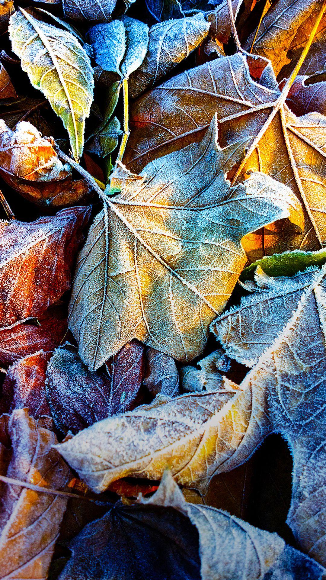 1080x1920 Nokia Lumia 1520 Wallpaper Full HD Wallpaper For Nokia 6
