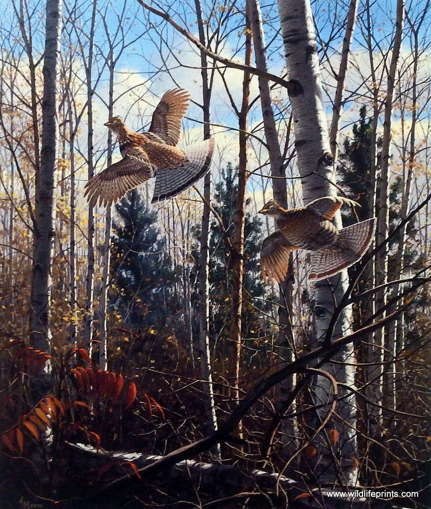 846x1000 David Maass Evening Flight- Ruffed Grouse