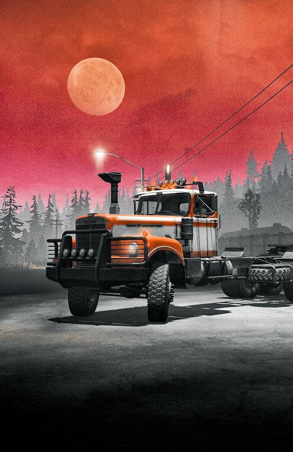 934x1440 Beloved White Western Star 4964