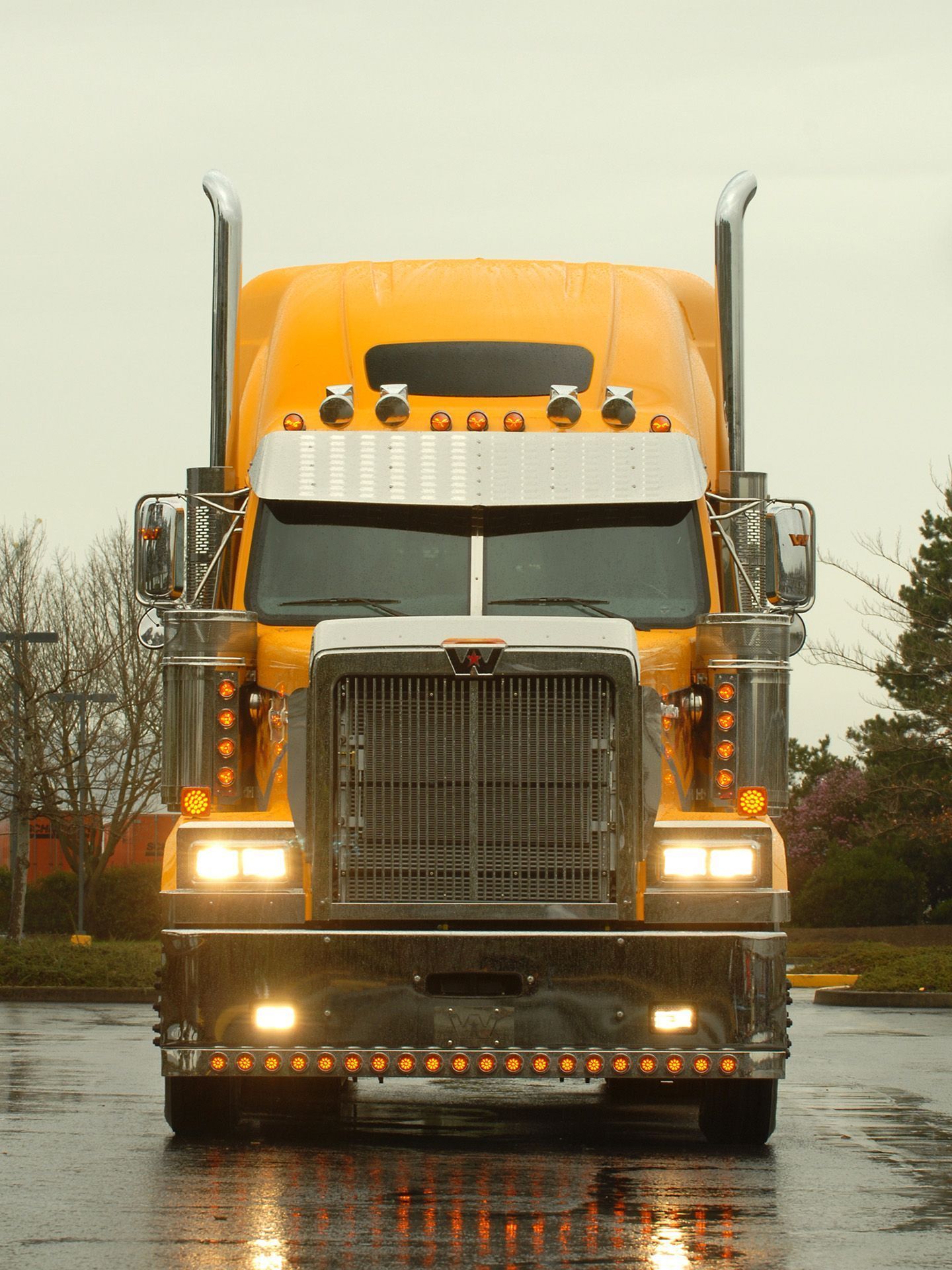 1440x1920 Western Star 4900 picture. Western Star photo gallery