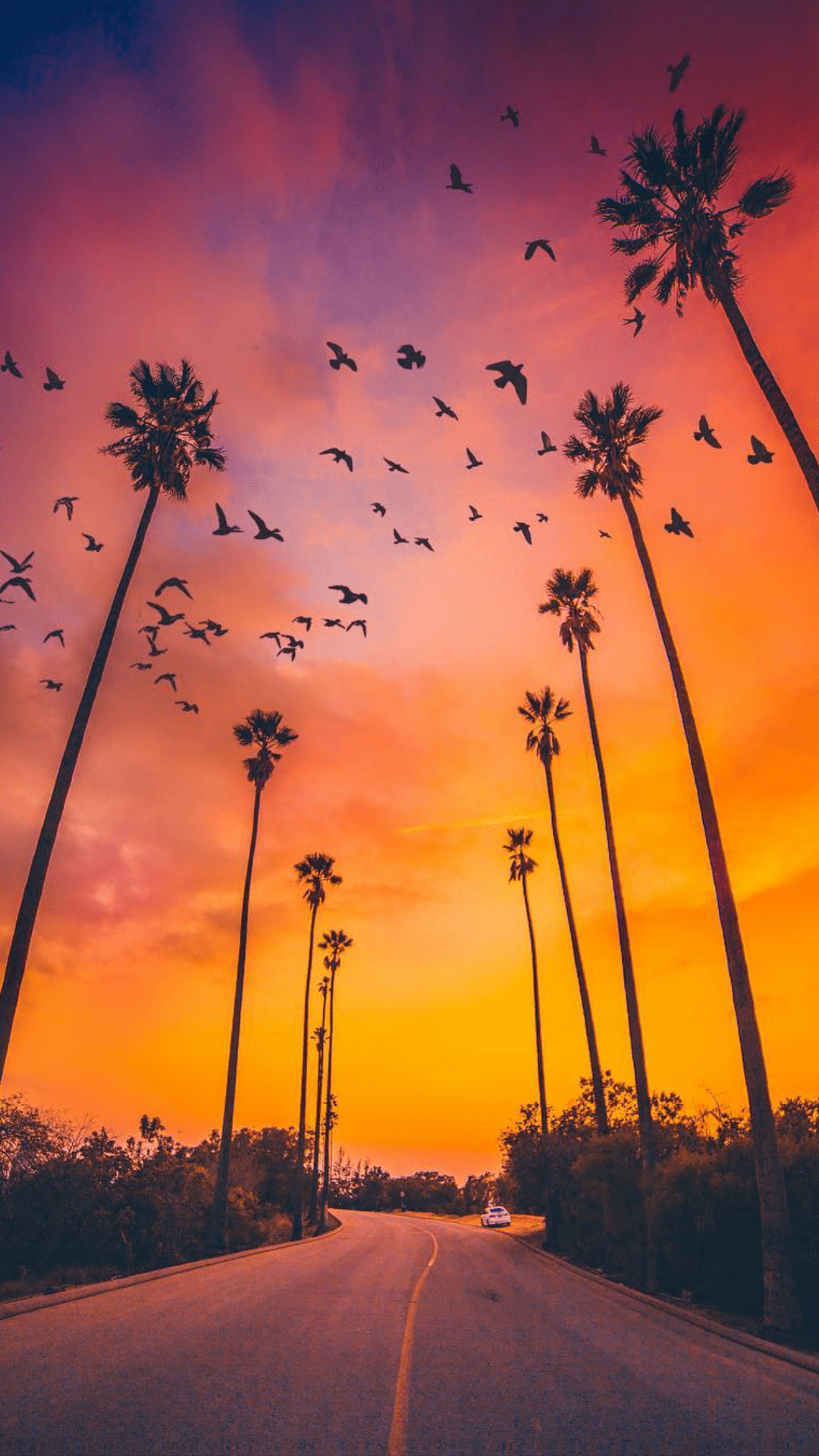 1080x1920 Sunset Nature Wallpaper