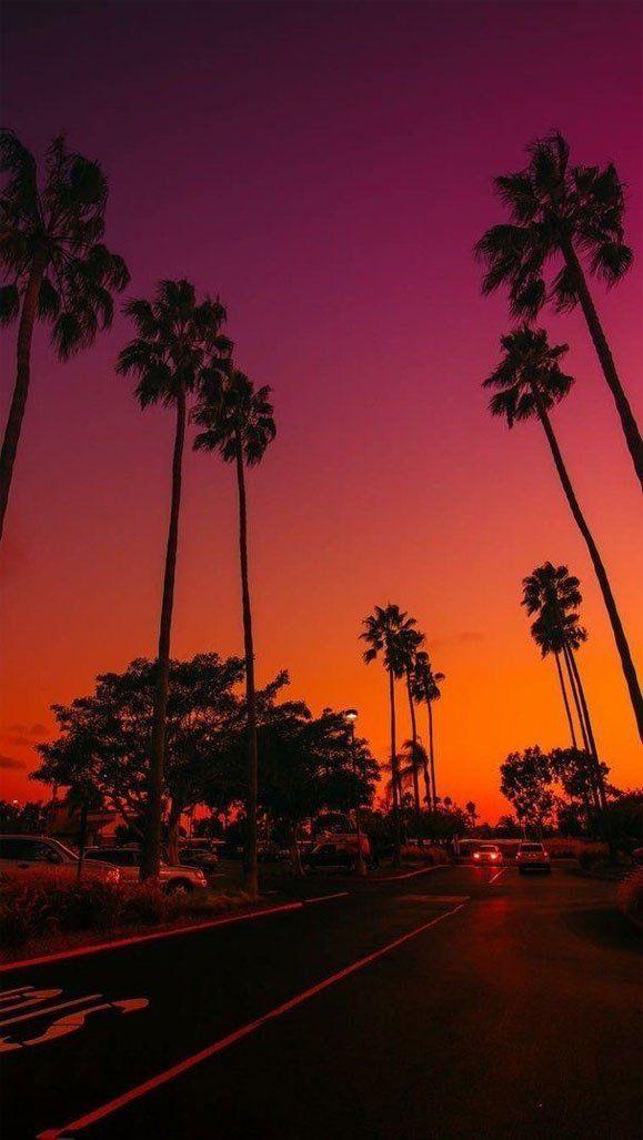 678x1202 Summer iPhone Sunset Beach Wallpaper