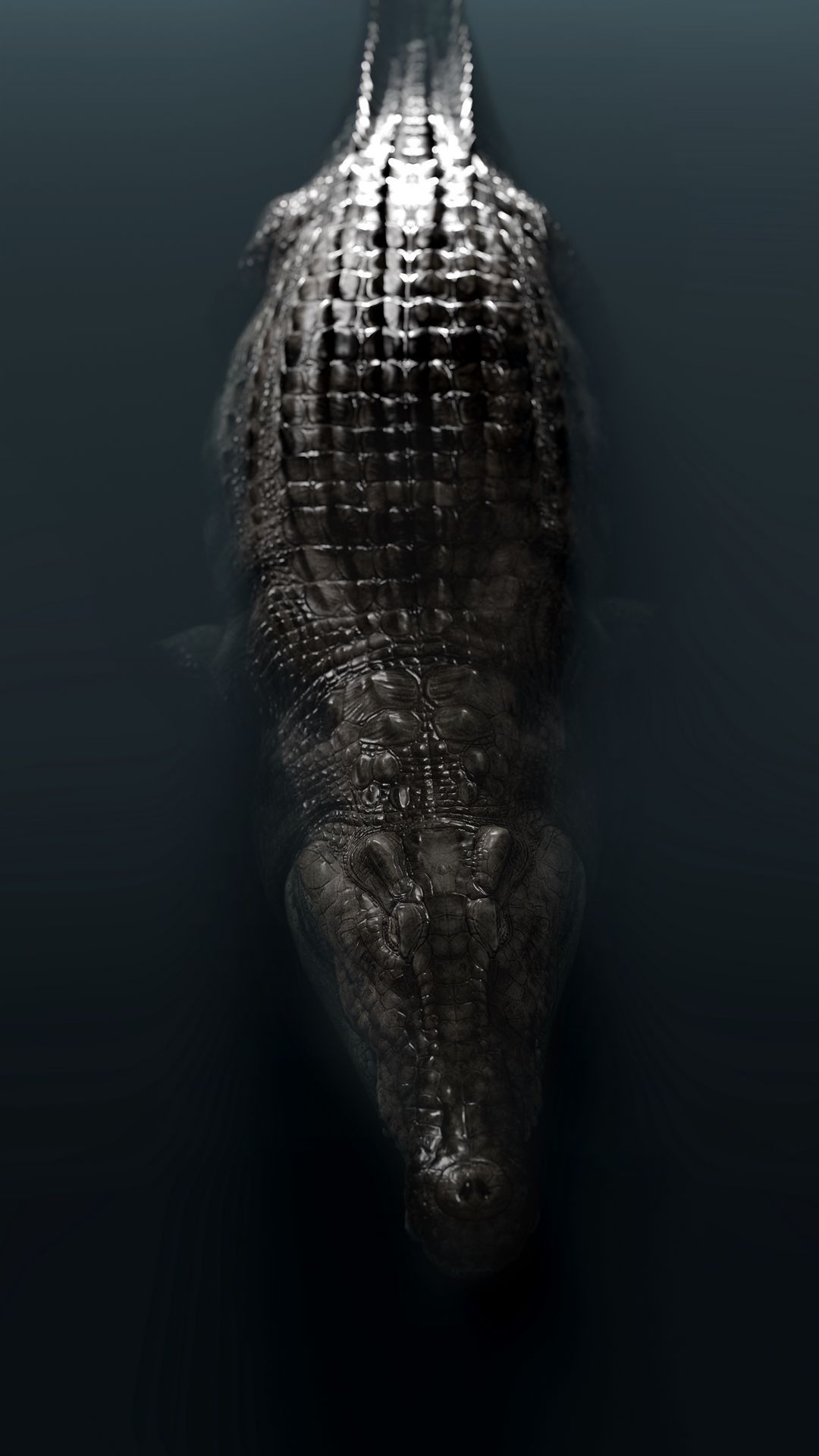 1080x1920 Discover 7 wallpaper crocodile and crocodile ideas. wallpaper, animals, predator and more