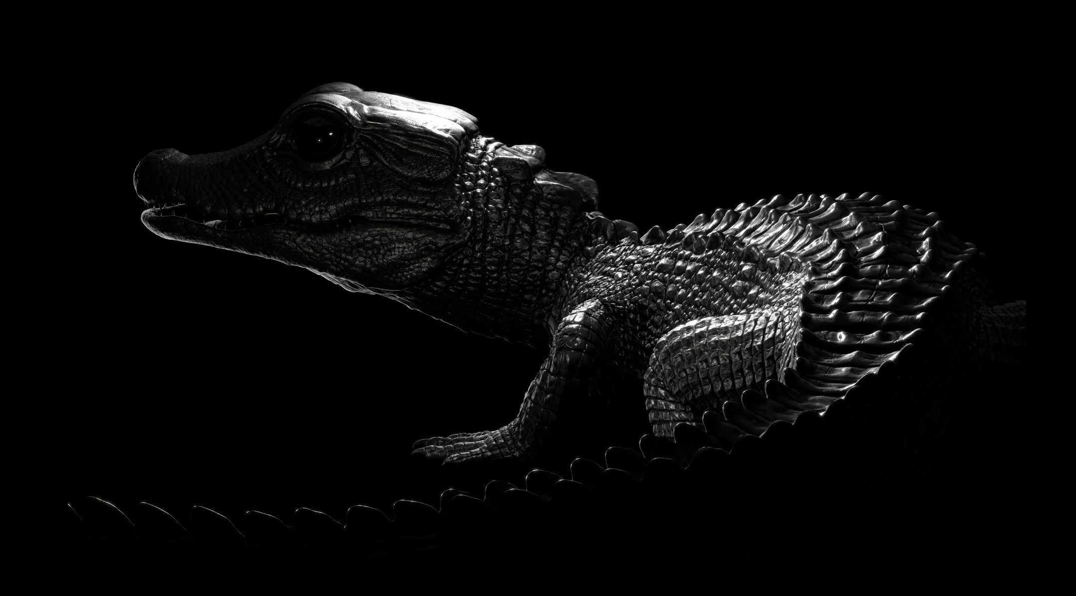 2156x1194 Wallpaper Crocodile, Art, Caiman, Antoine Verney Carron, Dwarf Caiman For Mobile And Desktop, Section рендеринг, Resolution 2156x1194