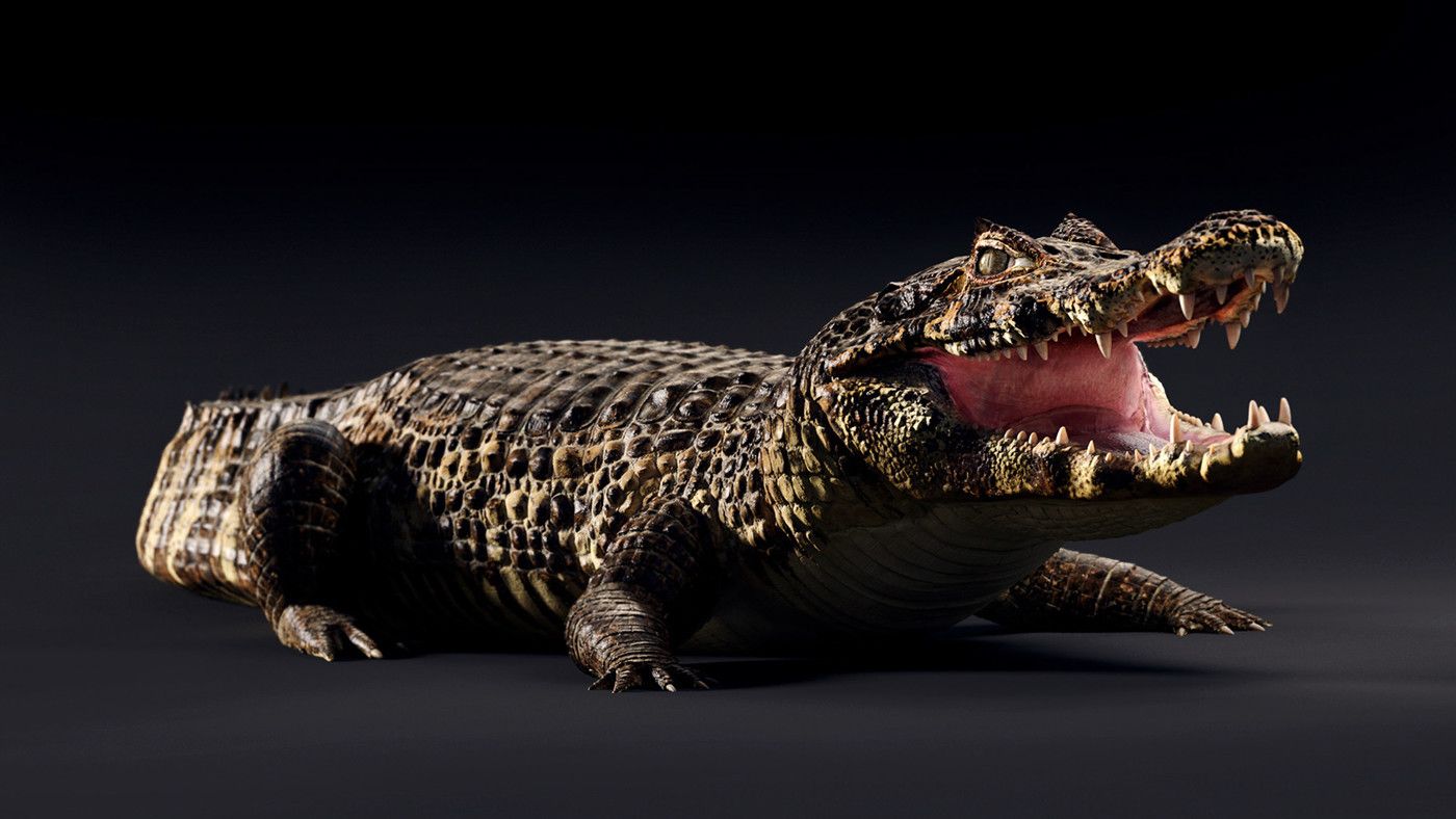 1400x788 Caiman 3D (3). Image - Behance