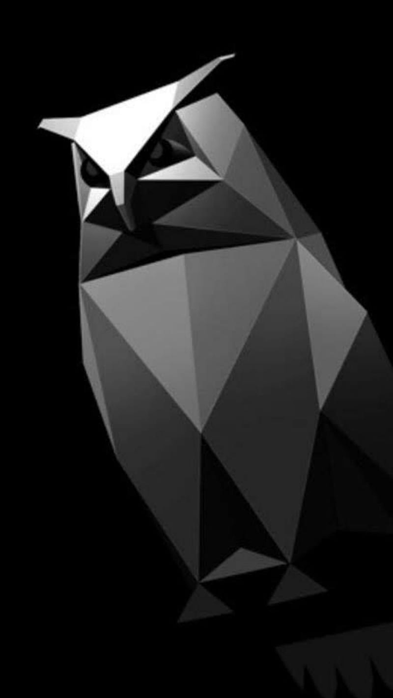 800x1422 Cyberowl, black, cyber, cybertruck, gray, owl, sharp, tesla, HD phone wallpaper