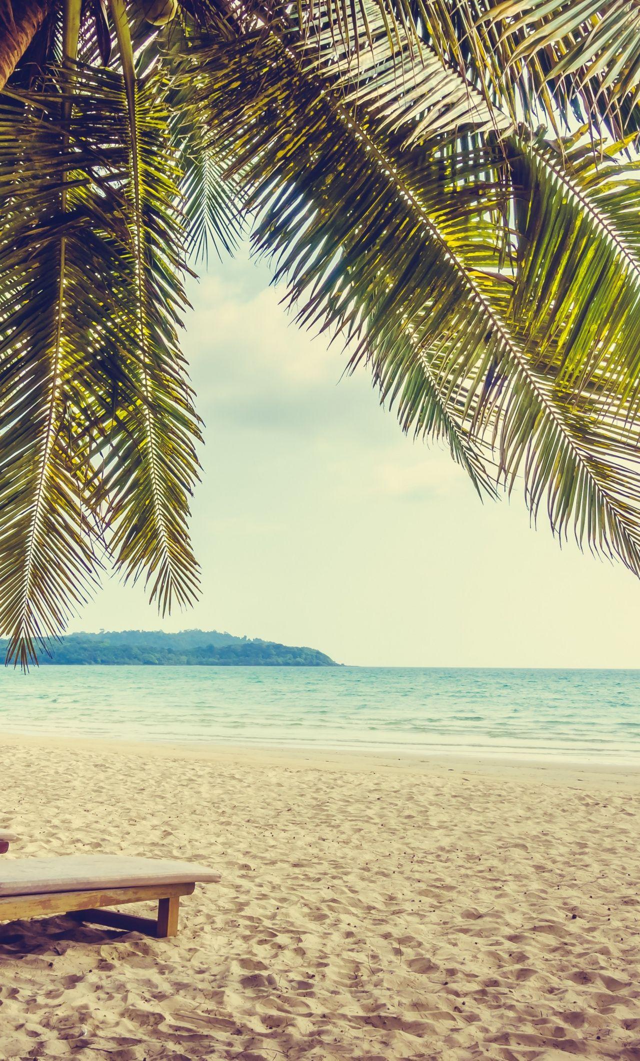 1280x2120 Palm Tree, Beach, Sand, Holiday, Summer, Wallpaper Plus