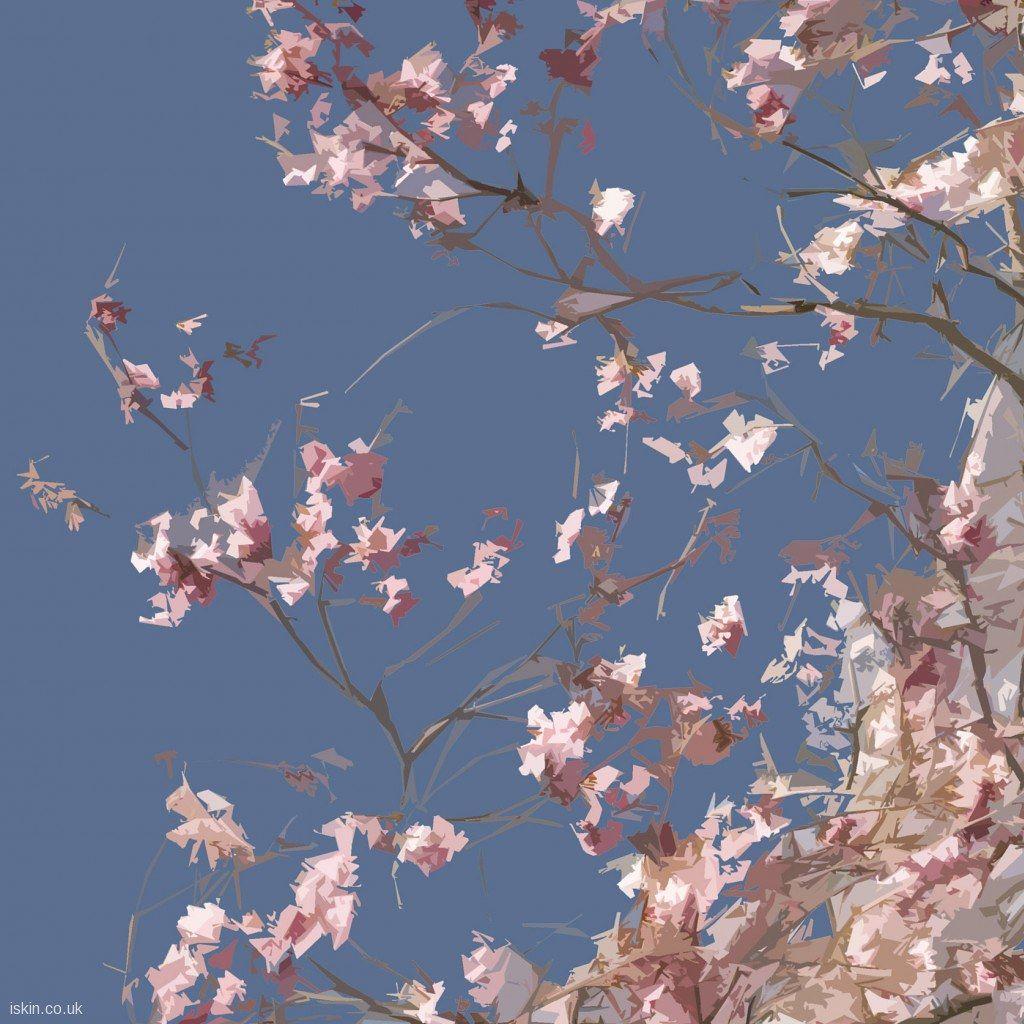 Cherry Blossom iPad Wallpapers Top Free Cherry Blossom iPad