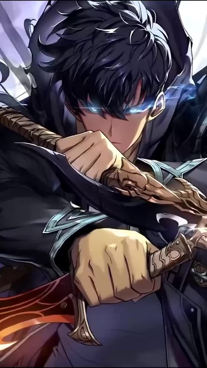 720x1280 Solo Leveling Arise Mobile Live Wallpaper