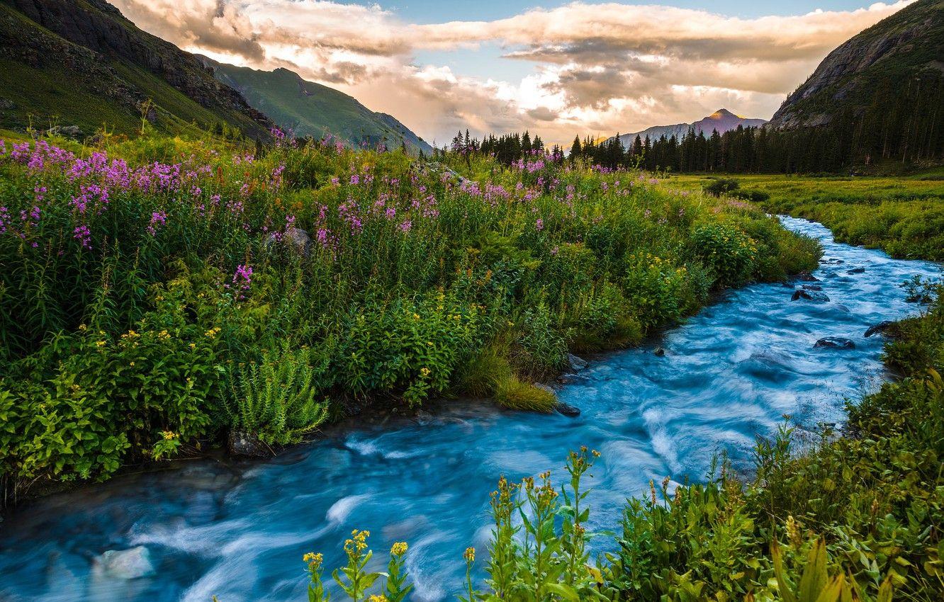 1332x850 Wallpaper summer, landscape, sunset, flowers, mountains, river