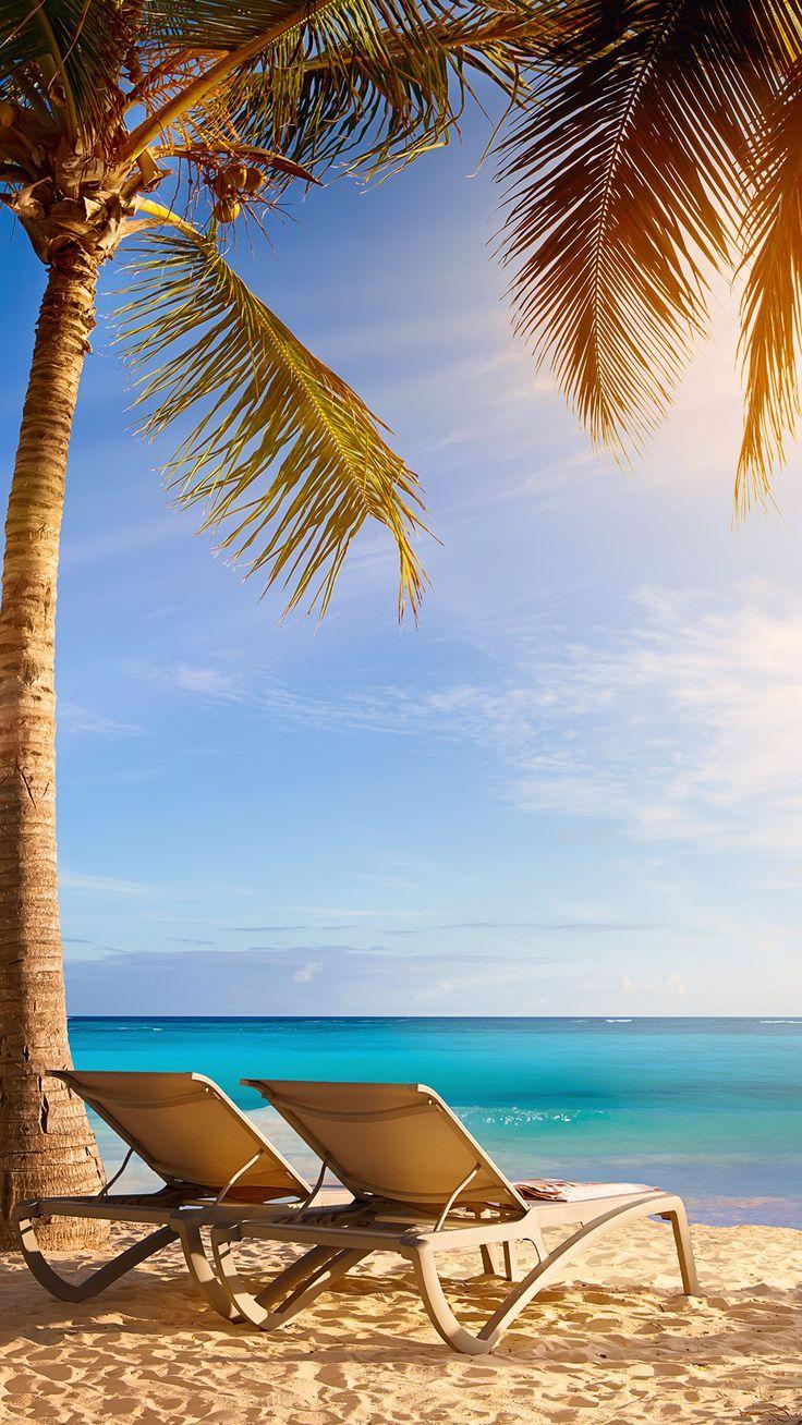 736x1308 Summer Wallpaper For iPhone Plus, HD Wallpaper & background