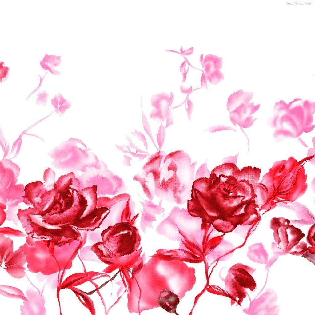 1024x1024 Best rose iPad Wallpaper HD