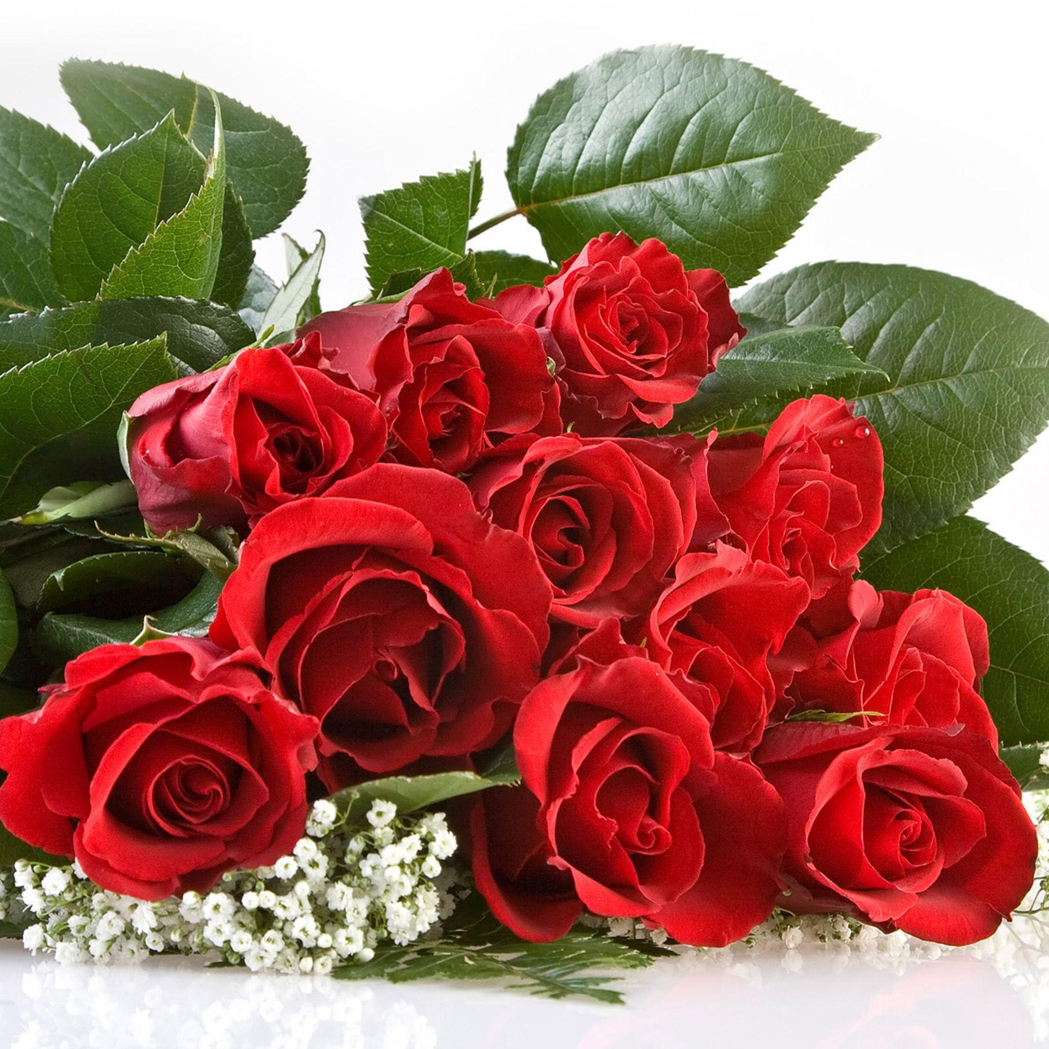 Rose iPad Wallpapers Top Free Rose iPad Backgrounds WallpaperAccess