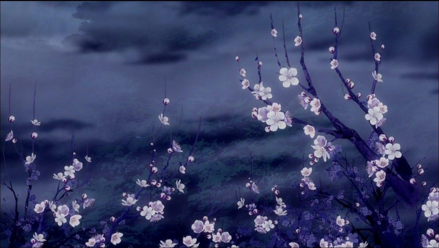 1408x796 Sakura Tag wallpaper: Sakura Flowers Sky Pink Tree Nature HD Flower