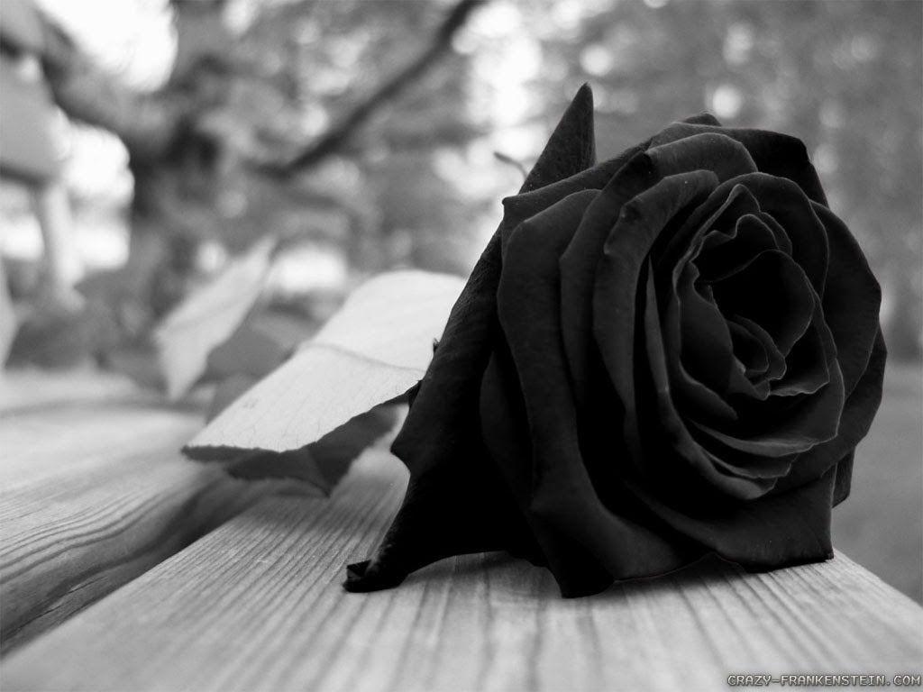 1024x768 Gothic Red And Black Rose
