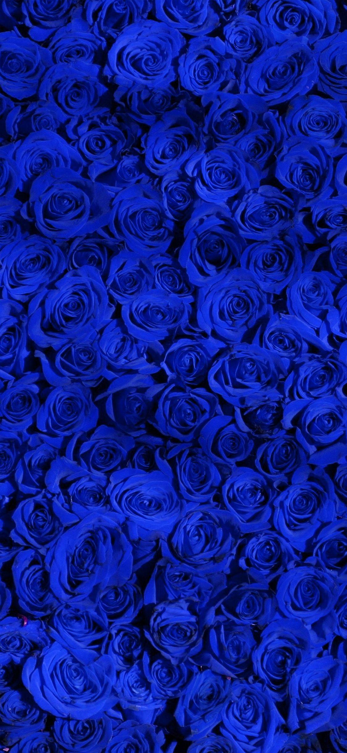 1125x2436 Rose Gold Blue iPhone Wallpaper