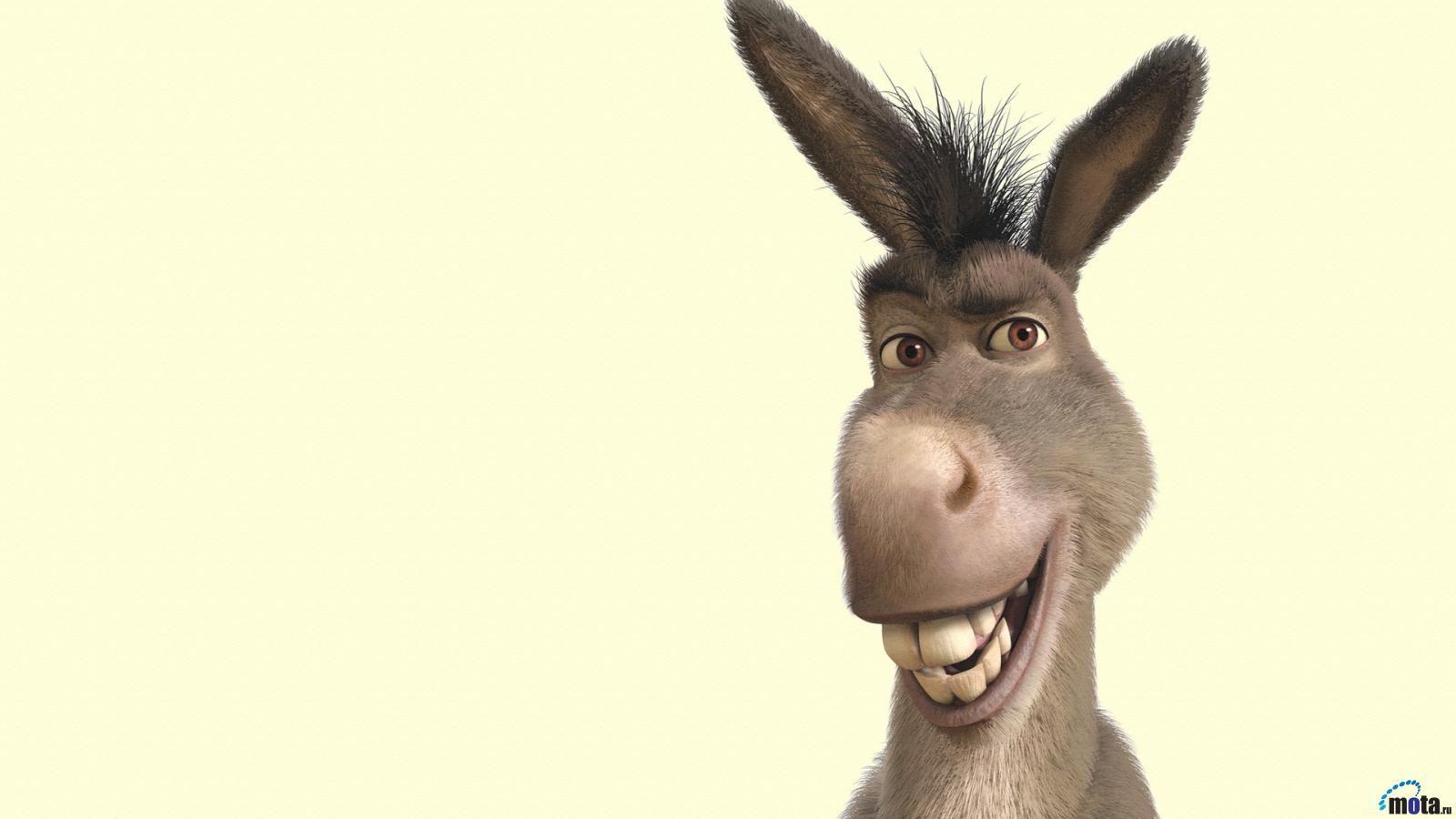 1600x900 donkey shrek wallpaper Collection