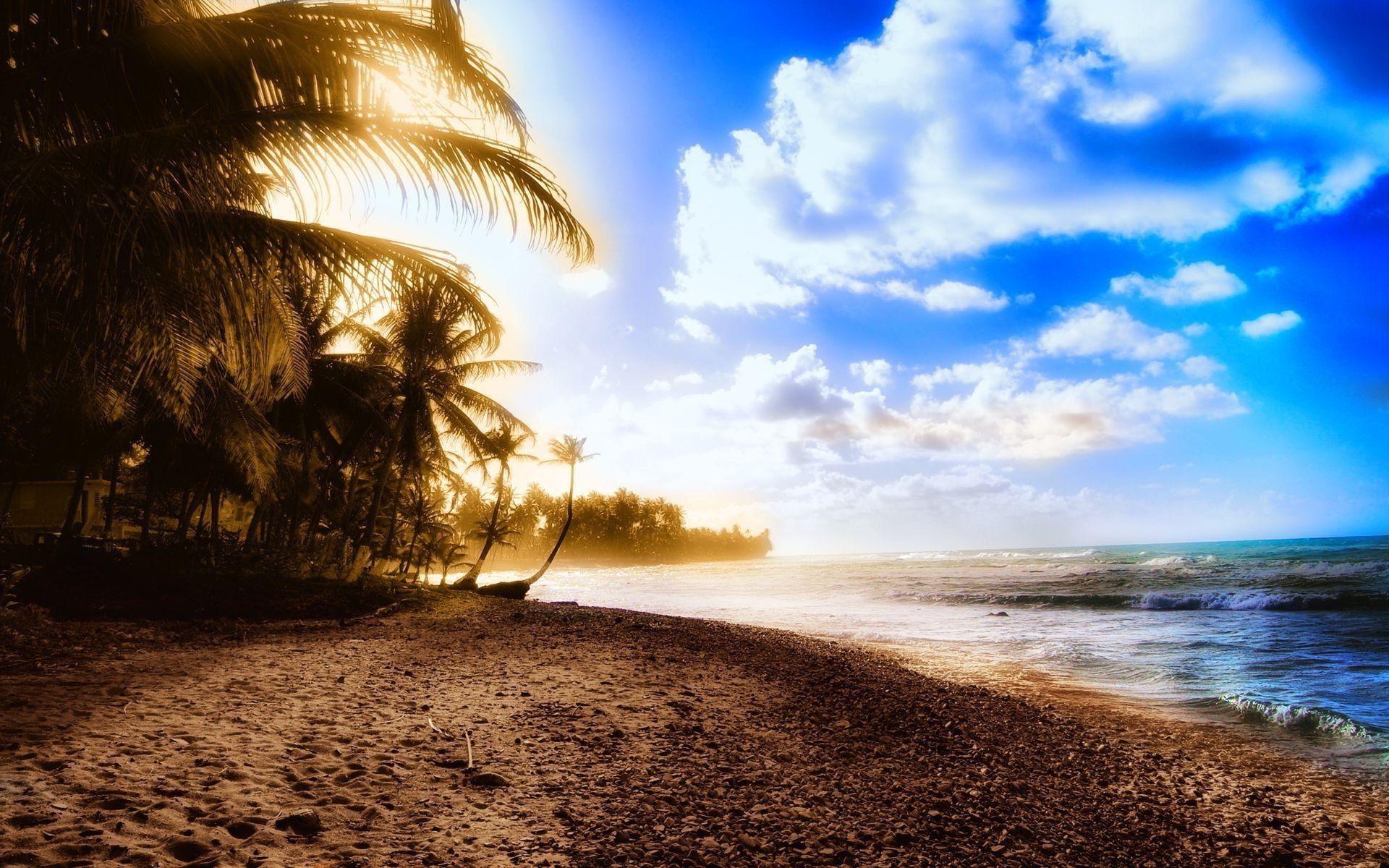 1920x1200 Summer HD Wallpaper