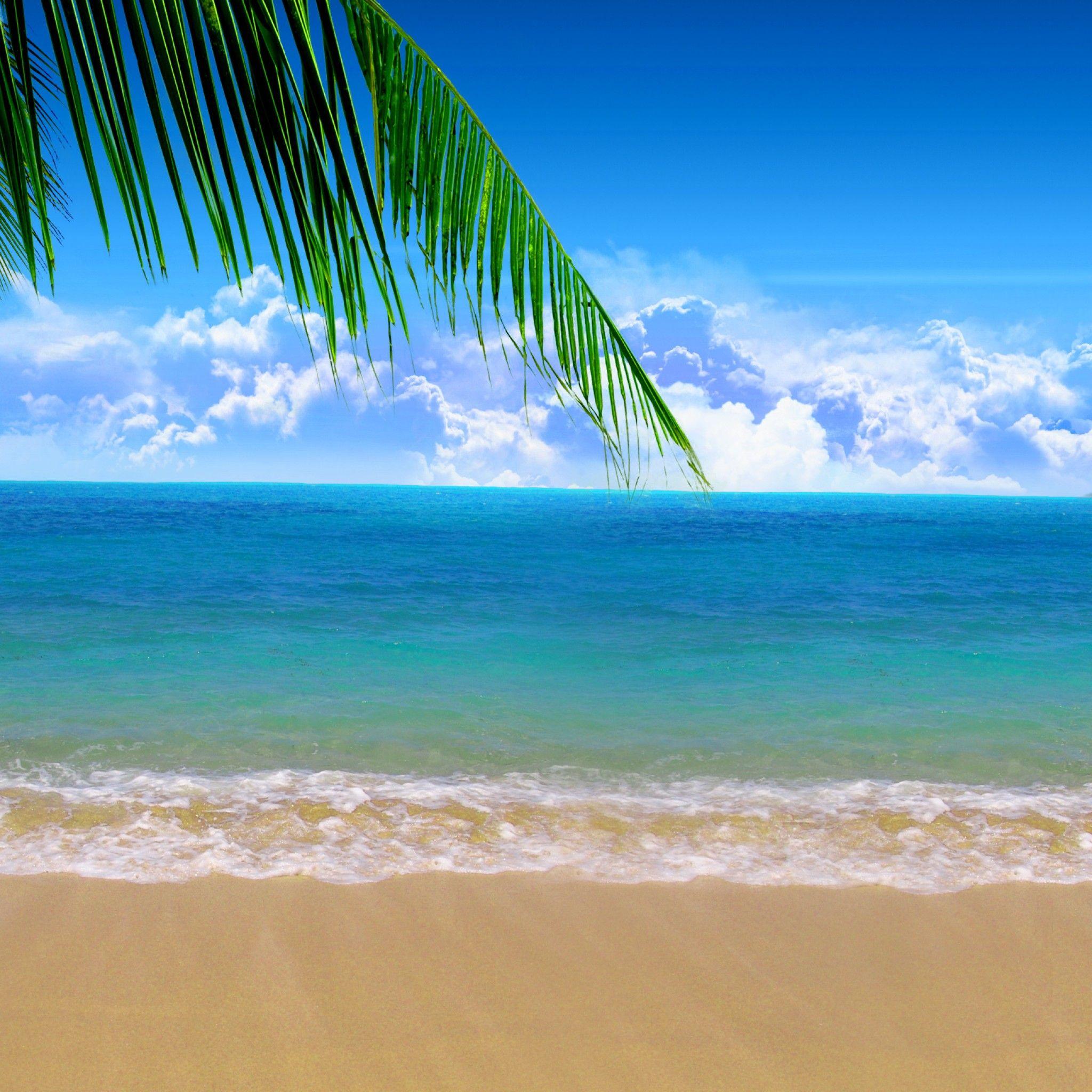 2048x2048 Summer Beach Wallpaper