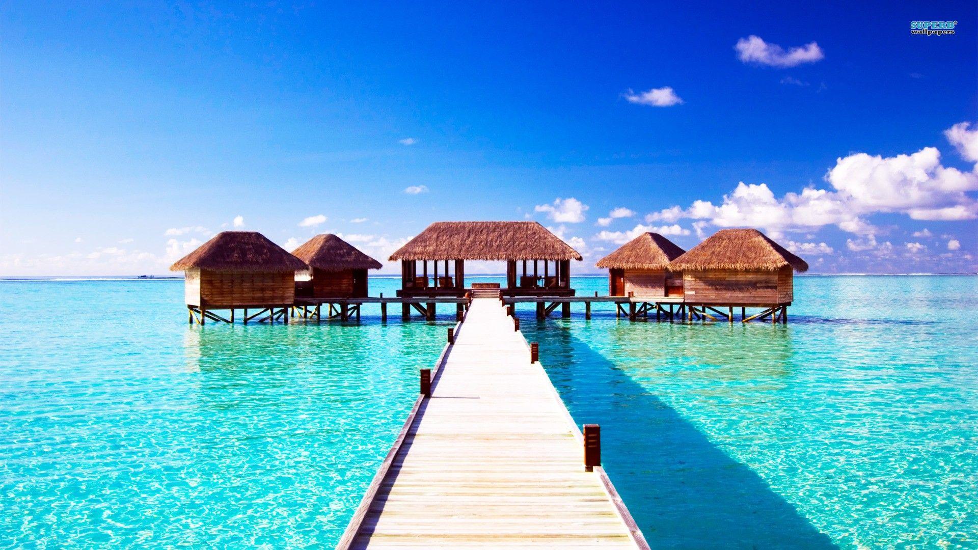 1920x1080 Summer wallpaperx1080
