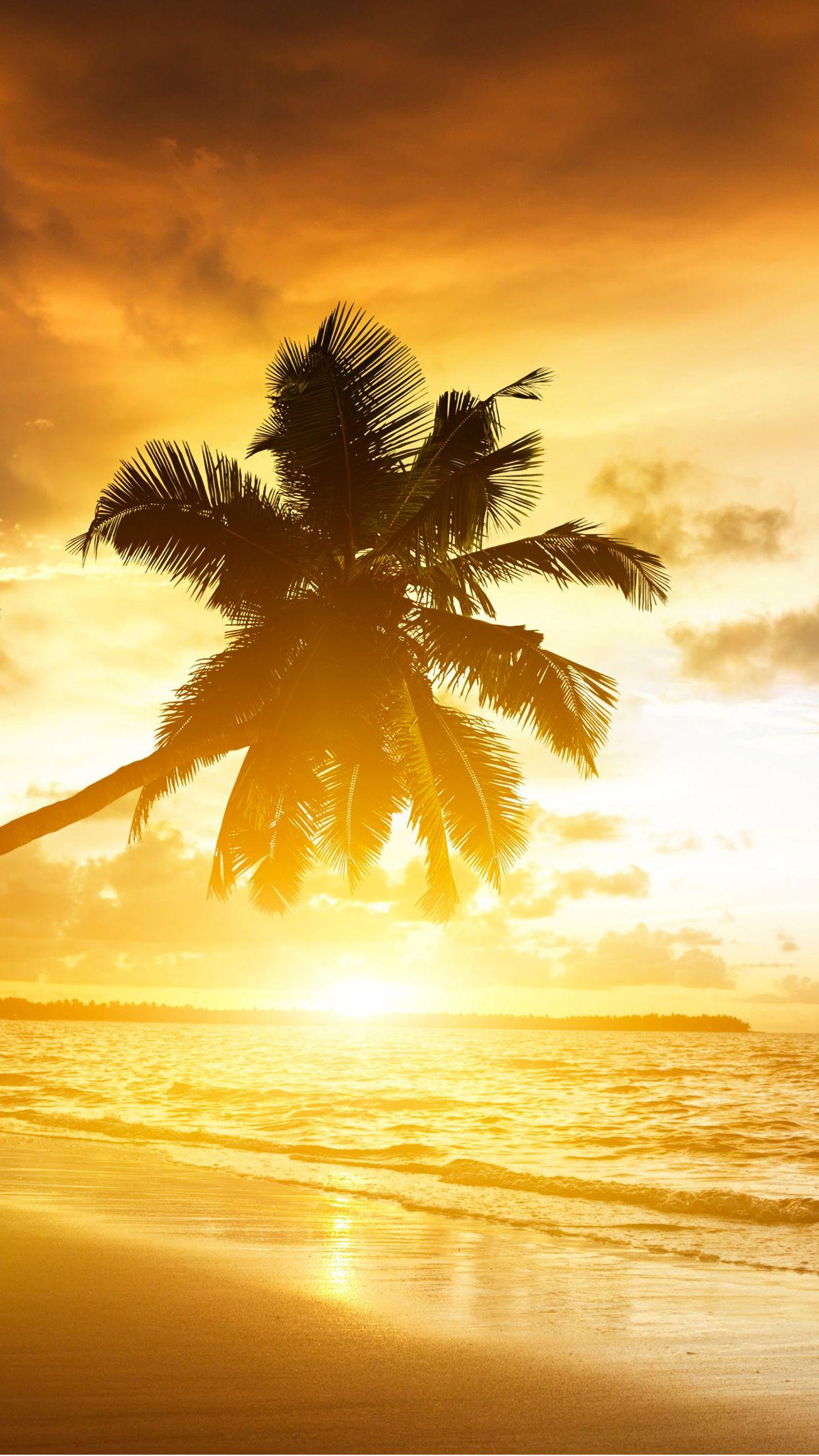 1242x2208 Summer Sunset Wallpaper for iPhone X, 6