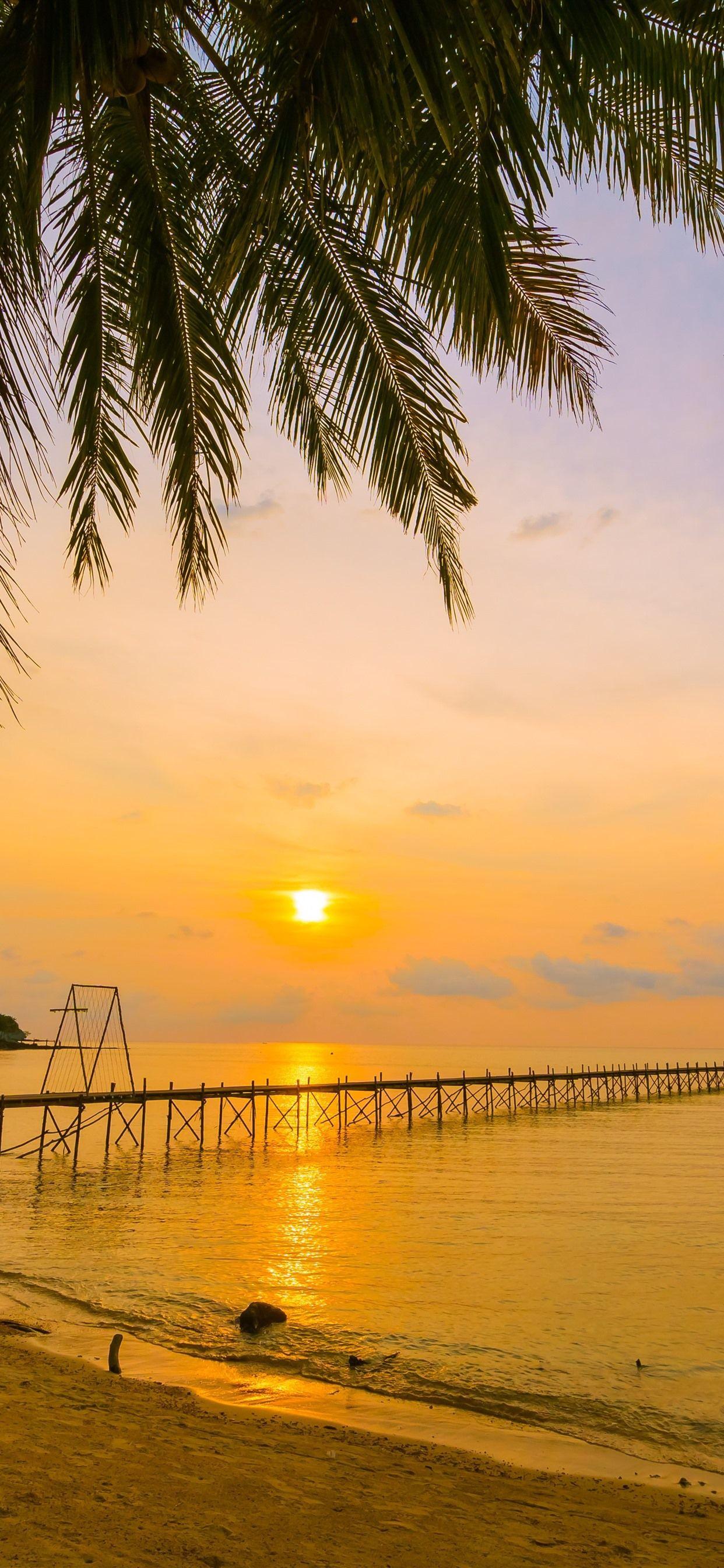 1242x2688 Tropical, summer, beach, sea, palm trees, pier, sunset 1242x2688