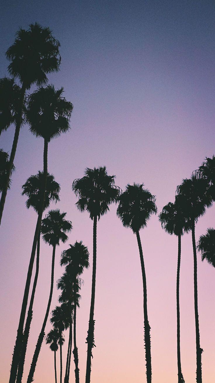 736x1308 iPhone wallpaper : 9 Summer Sunset iPhone Wallpaper To Kill That