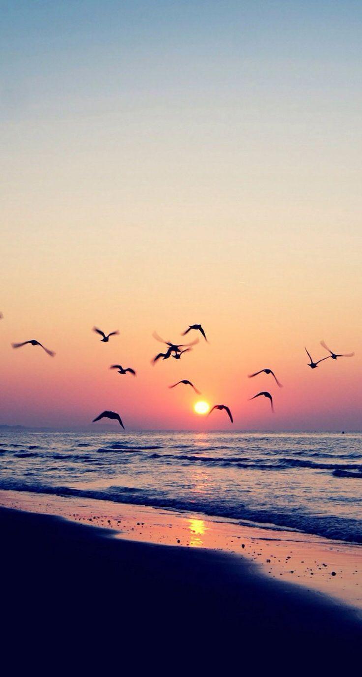 736x1376 Free download iPhone Wallpaper Summer Cool Phones Wallpaper