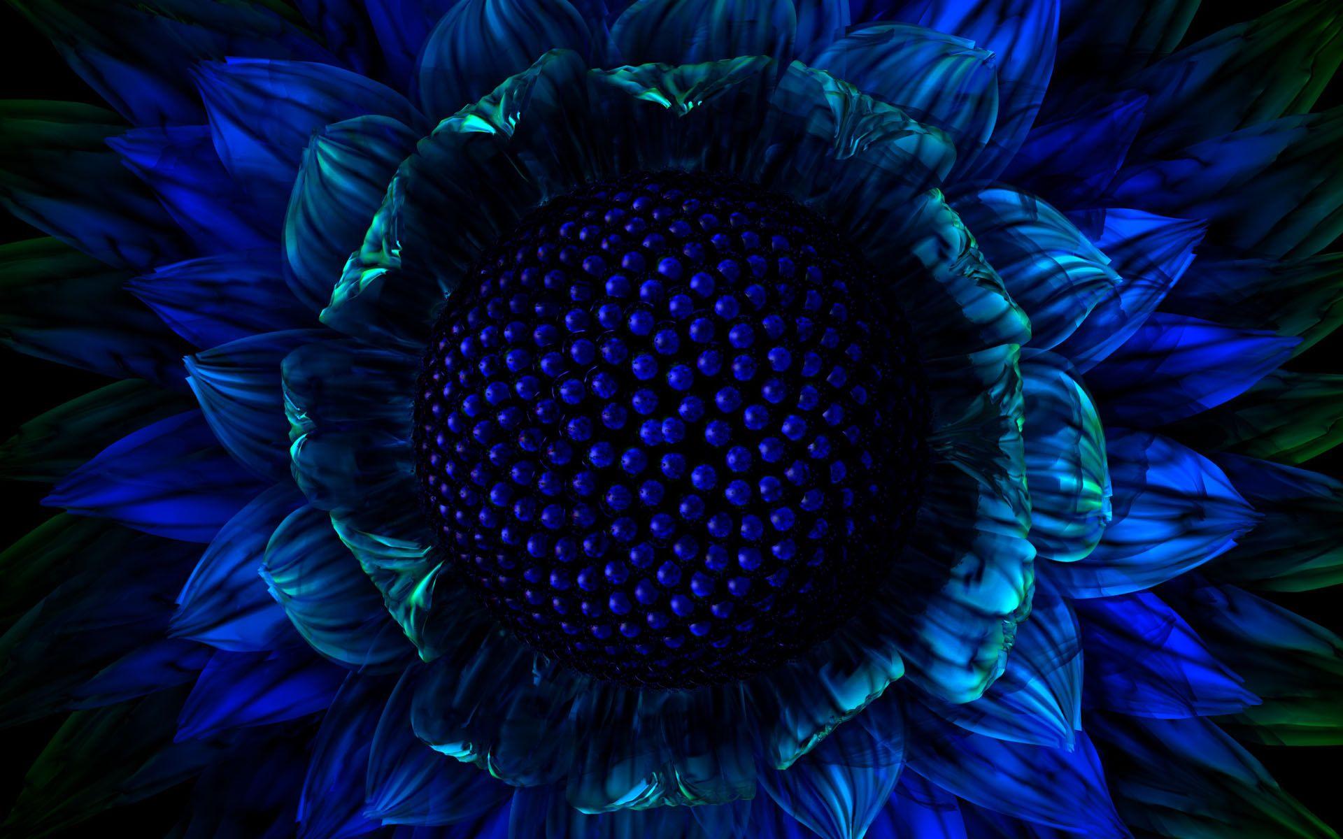 1920x1200 Sunflower, wallpaper, widescreen, background, abstract, desktop