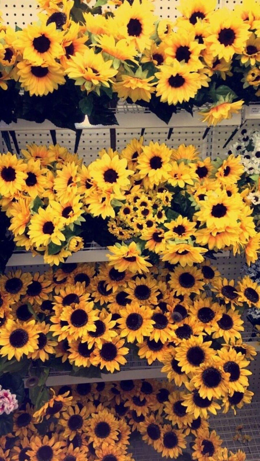 1080x1915 Yellow Aesthetic Sunflowers HD Wallpaper Desktop