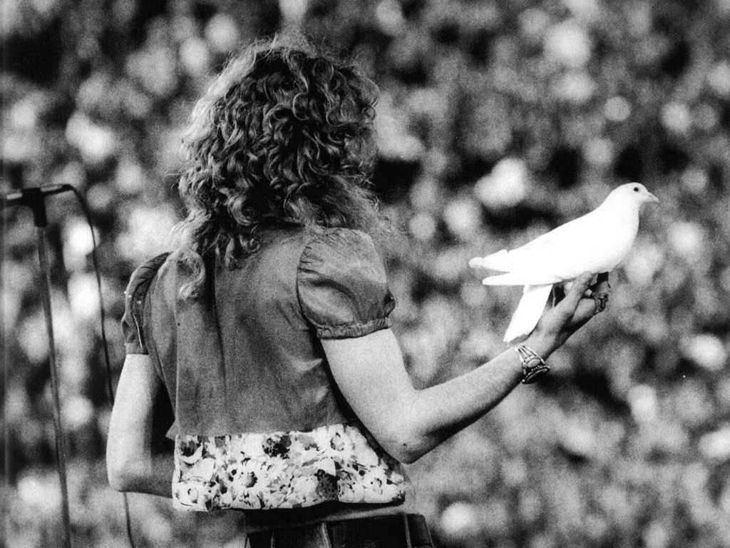 1024x768 Robert Plant Wallpaper. Indie Plant