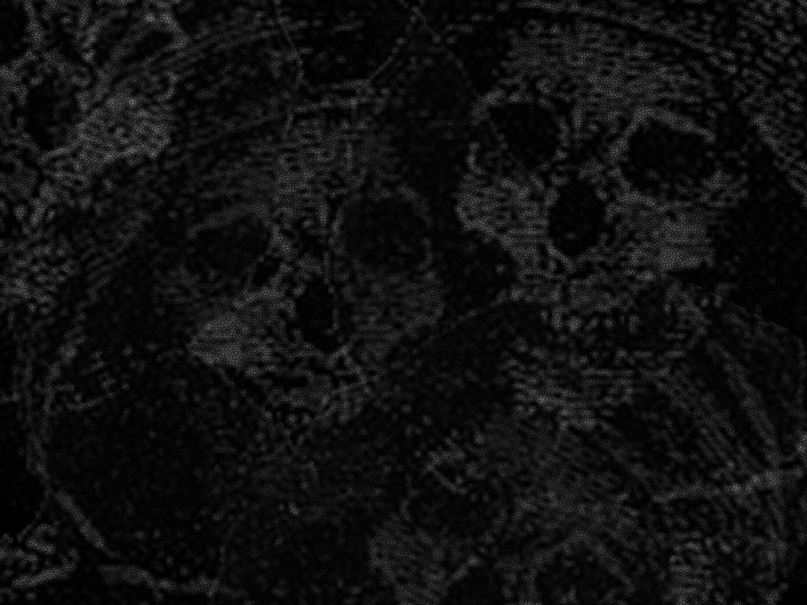 1600x1200 Gothic Black Wallpaper