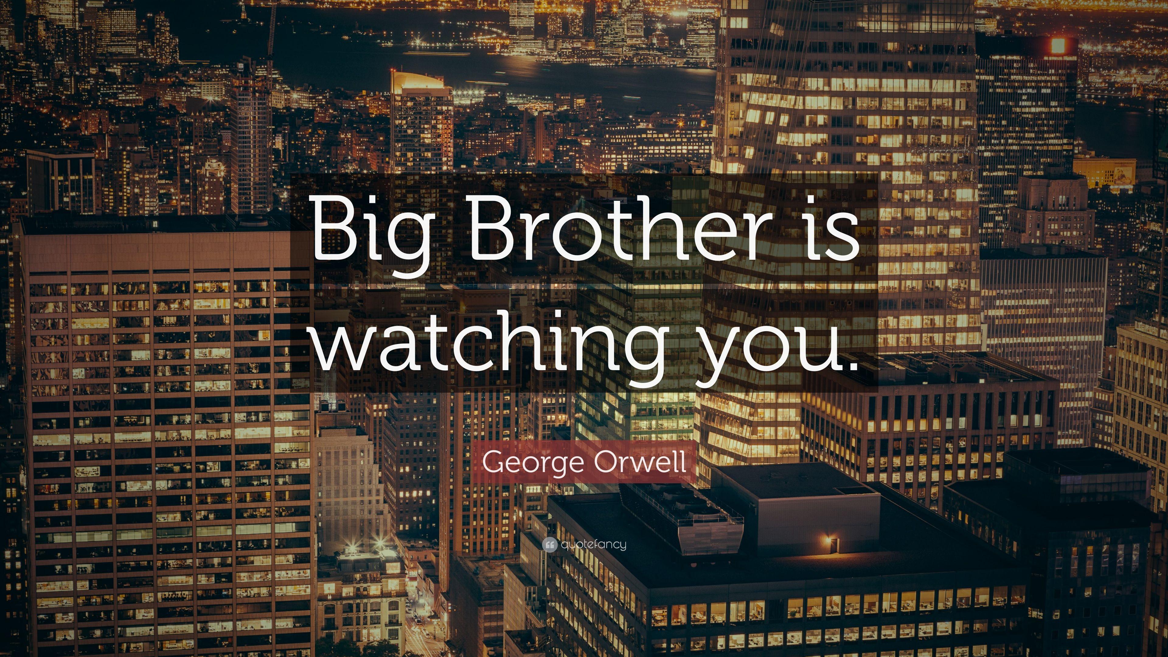 Big Brother Wallpapers Top Free Big Brother Backgrounds Wallpaperaccess