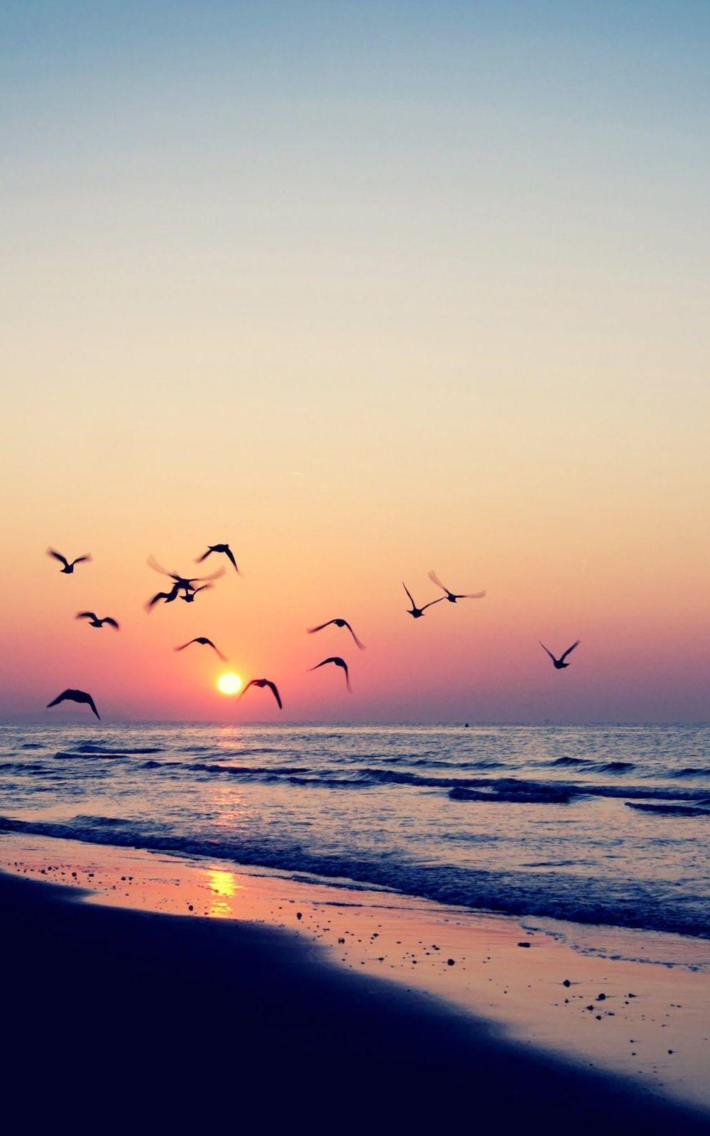 1000x1600 Beach Sunset Wallpaper HD iPhone
