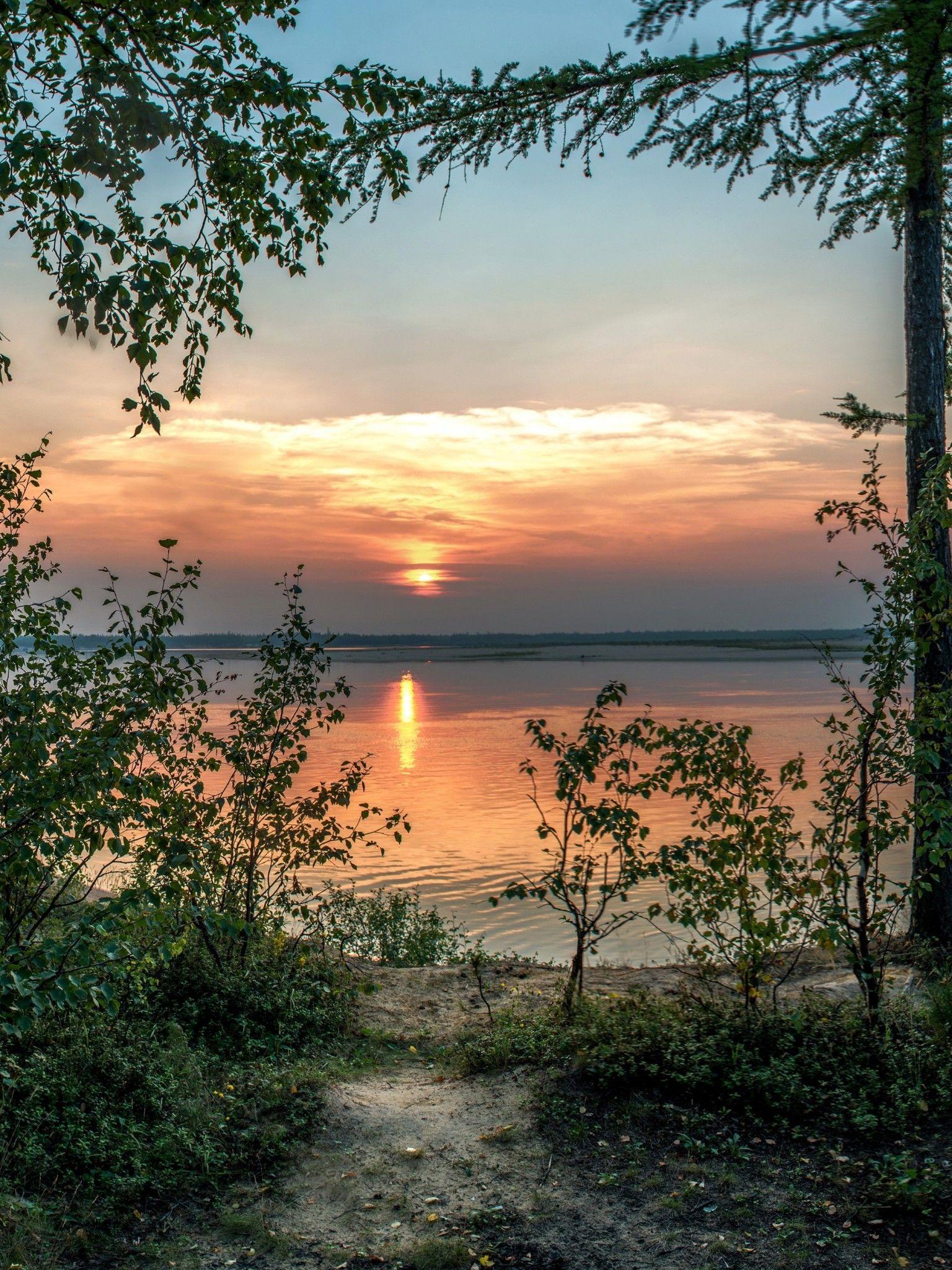 1536x2048 Download 1536x2048 Sunset, Lake, Trees, Scenic, Reflection