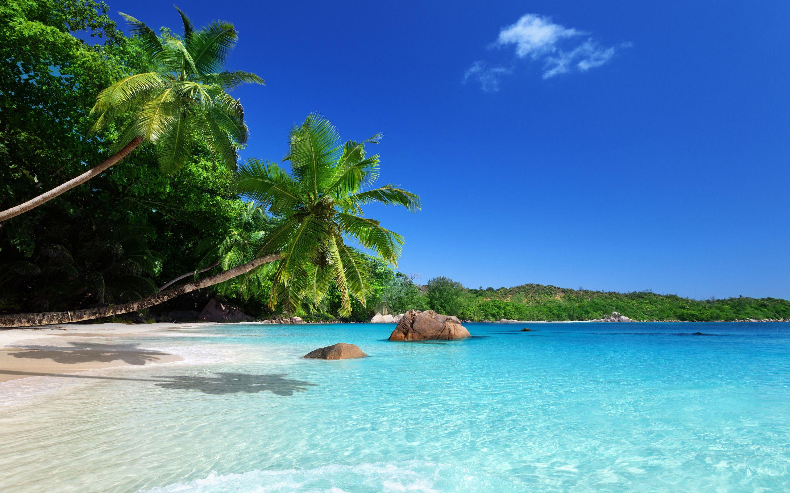 2560x1600 beach, ocean, sand, coast, sky, paradise, summer, sunshine, emerald, blue, palm, sea, tropical desktop wallpaper 49673