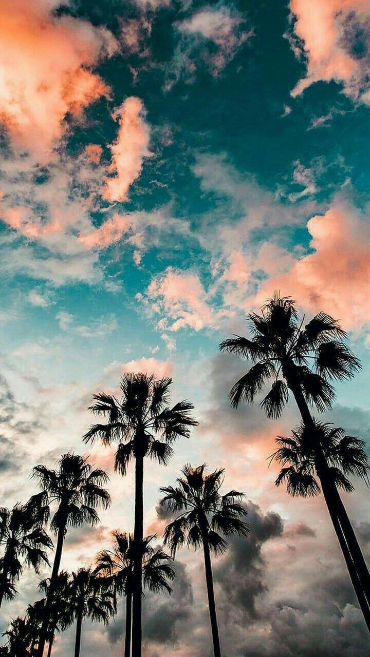 720x1280 •wallpaper•. Wallpaper iphone summer, Beautiful summer wallpaper, Free phone wallpaper