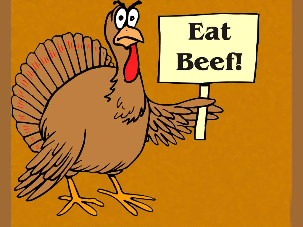 Funny Thanksgiving Wallpapers Free Download  PixelsTalkNet