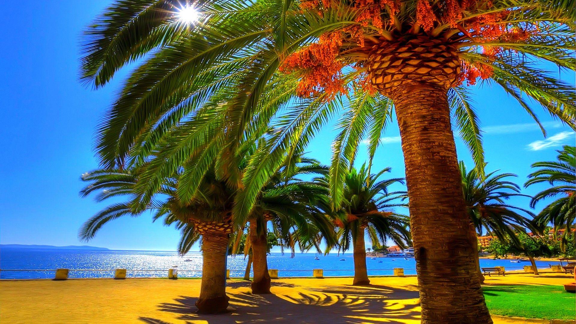1920x1080 Tropical Coastline Sunshine Ocean Summer Sun Beautiful - Красота