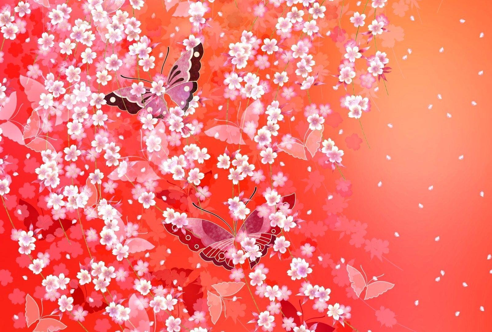 1600x1080 Butterflies Tag wallpaper: Magenta Spring Pretty Pink