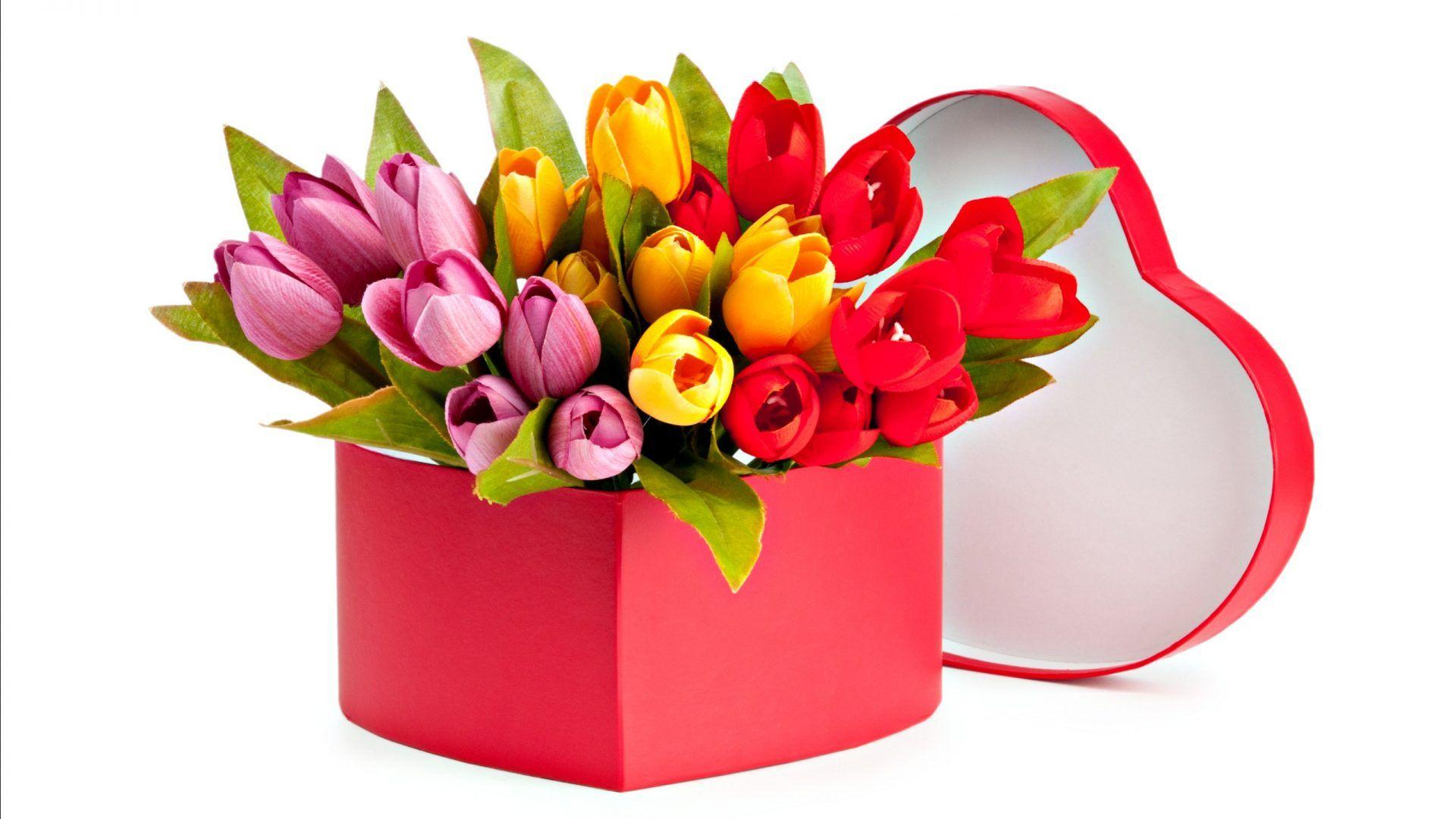1920x1080 DD88AA Color wallpaper: Rose Day Love Flowers Roses Valentines Red