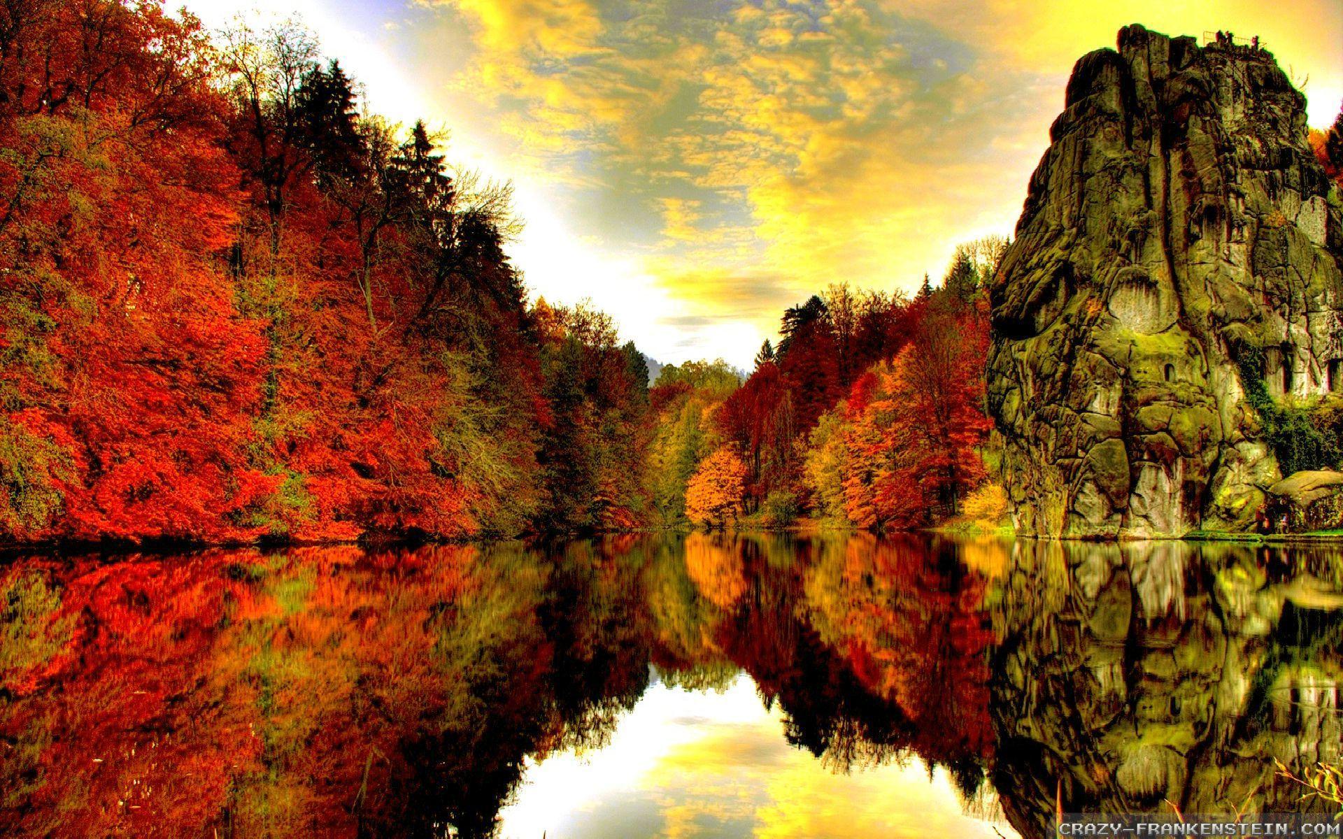 Crazy Desktop Wallpapers Top Free Crazy Desktop Backgrounds