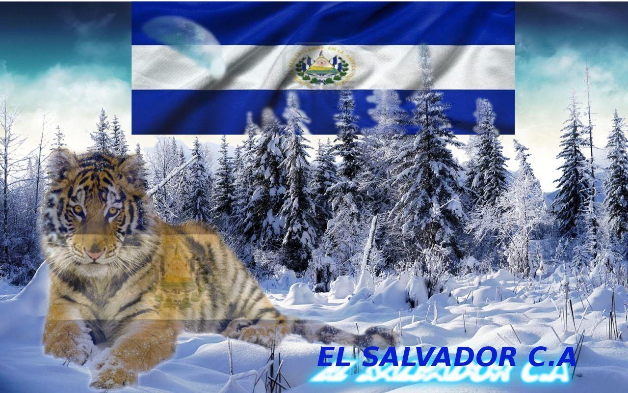 1280x800 Free download EL SALVADOR FLAG wallpaper ForWallpapercom 1280x800