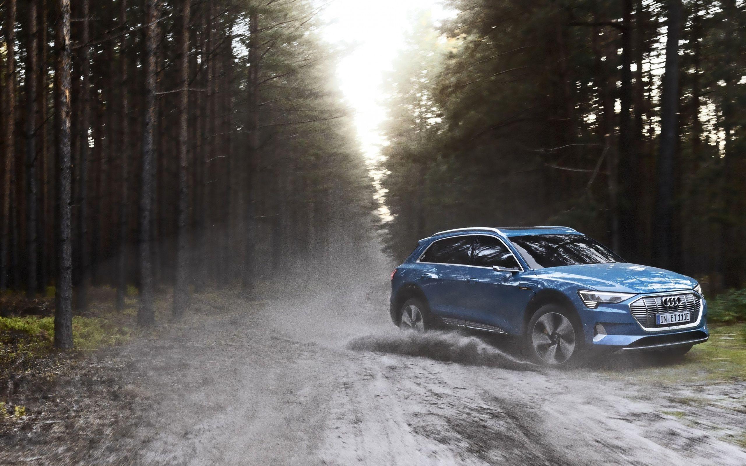 2560x1600 Download wallpaper: Audi E Tron 2560x1600