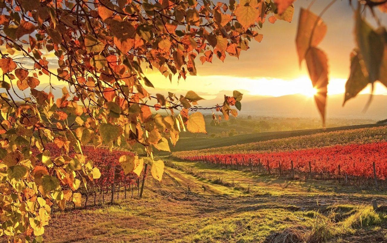 1280x804 Free download Sunrise Autumn Connecticut wallpaper Sunrise Autumn