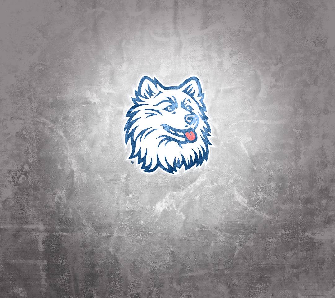 1080x960 Uconn Huskies wallpaper