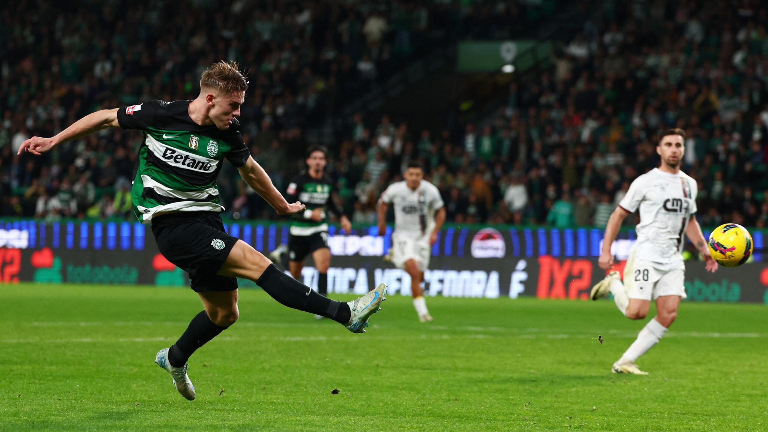 2560x1440 Viktor Gyokeres: Sporting striker's rise to become one of Europe's best strikers