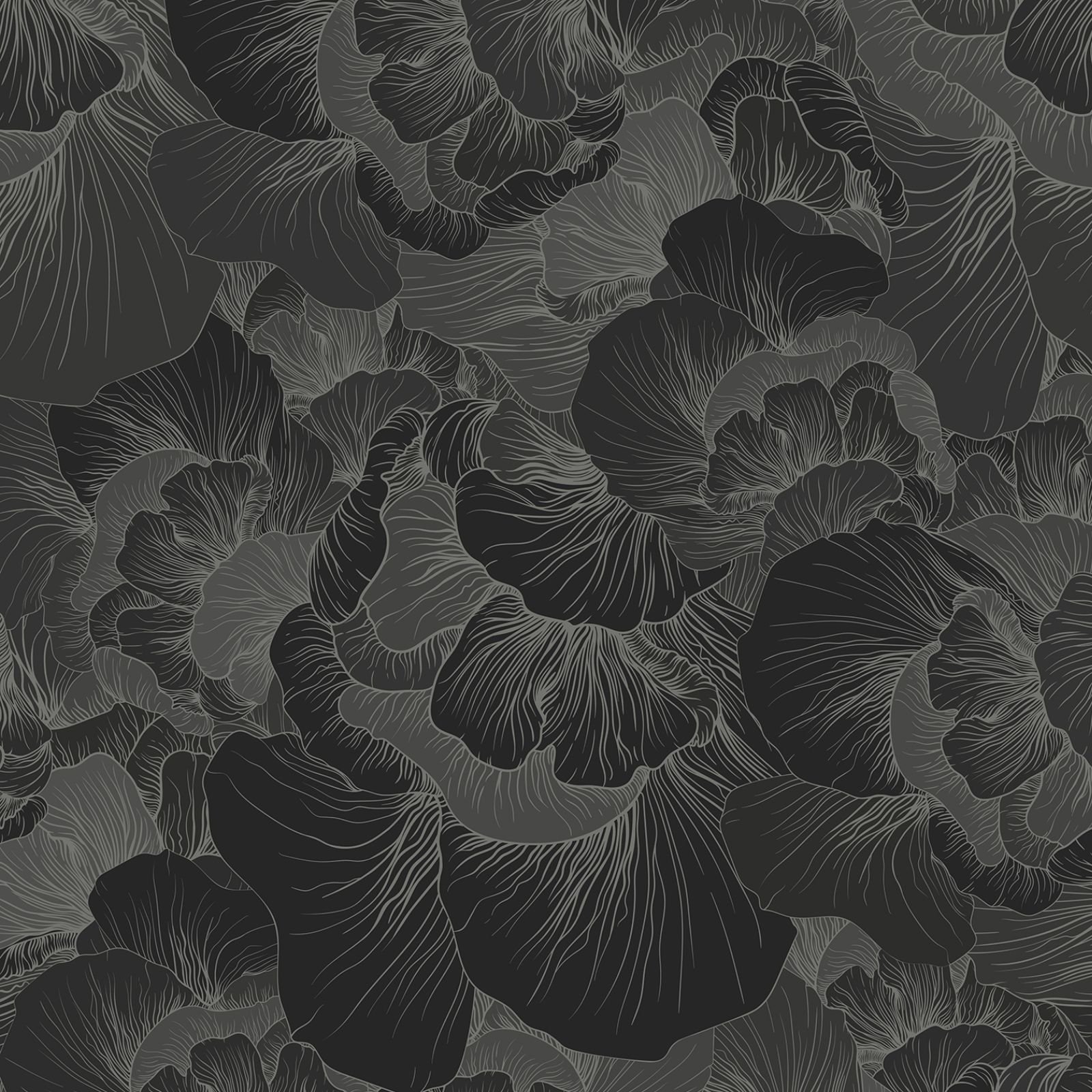 Dusky Wallpapers - Top Free Dusky Backgrounds - WallpaperAccess