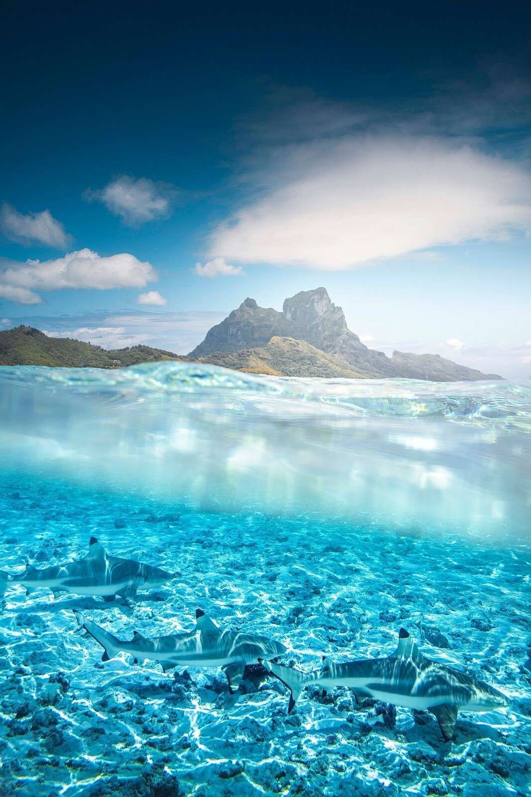 1067x1600 Wallpaper Mural in turquoise lagoon